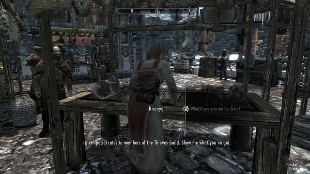 Skyrim - Niranye has zero situational awareness смотреть онлайн