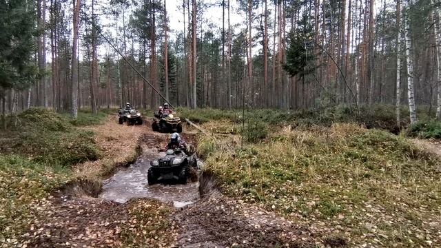 Тверь. Оршанский мох. Квадропутешествие2020 смотреть онлайн