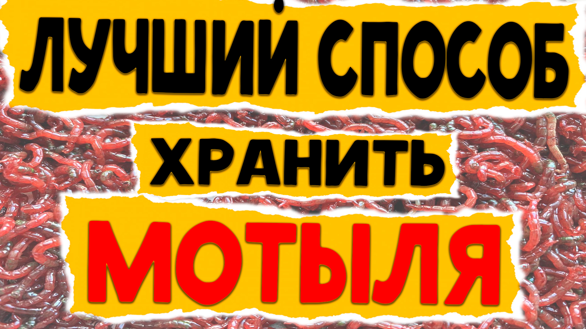 ЛУЧШИЙ СПОСОБ ХРАНЕНИЯ МОТЫЛЯ !!!! как ДОЛГО хранить мотыля !!?? смотри !!! смотреть онлайн