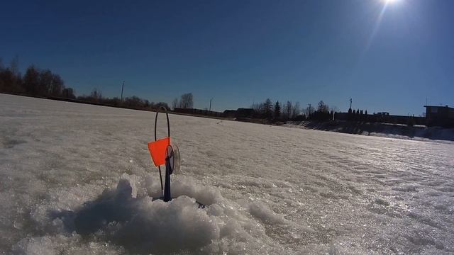 Закрытие сезона . Рыбалка на жерлицы. Живец дохнет.