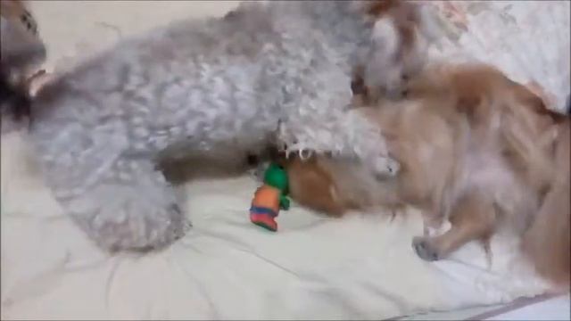 ДИВАН ДЛЯ ДВОИХ смотреть онлайн