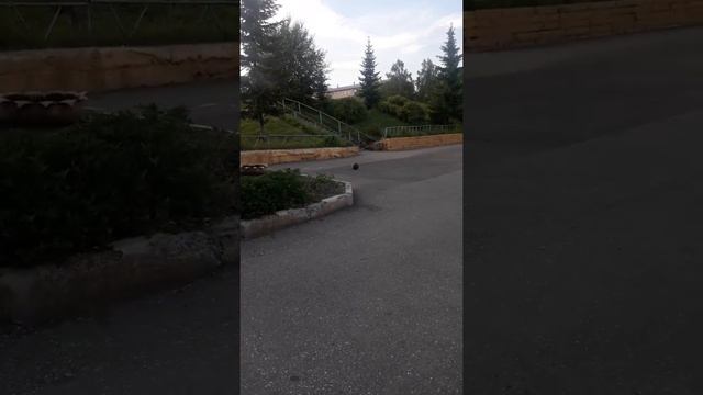 Учимся пинать на весом смотреть онлайн