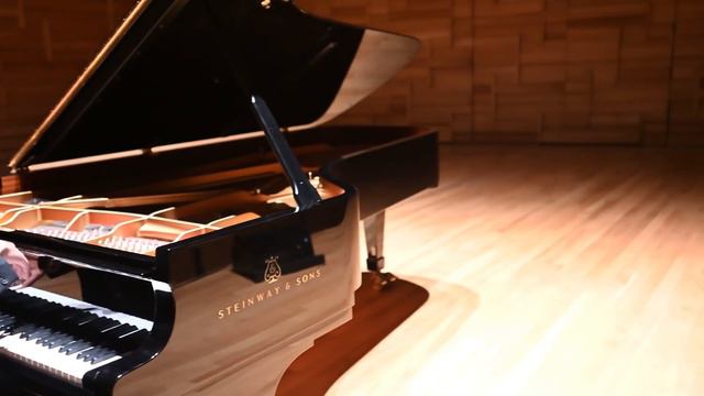 Mozart Meets Bruno Mars - 'Magic Flute' + 'Just The Way You Are' смотреть онлайн
