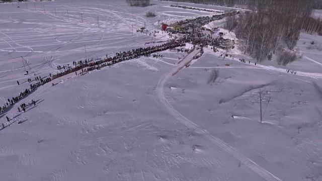 Хаски Фест 2017 смотреть онлайн