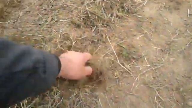 Лоплош готовые грядки смотреть онлайн