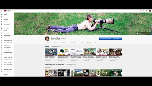 Поддержите развитие! Становитесь спонсорами канала о жизни наших птиц! смотреть онлайн