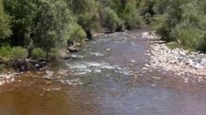 Я пьян от любви!!! {russian song}