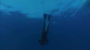 Подводная одиссея команды Кусто. 2. Коралловые джунгли 1968