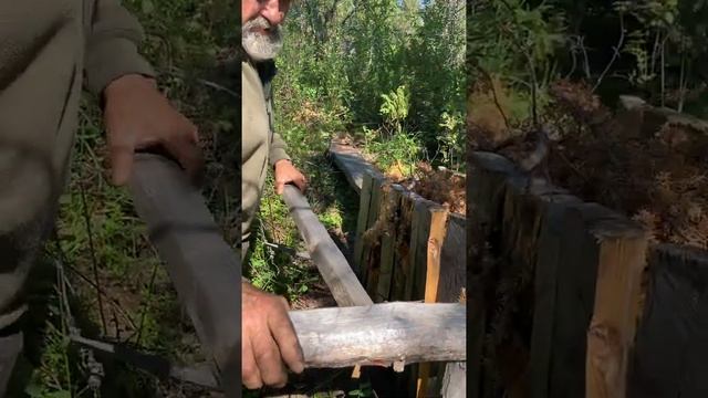 Охота на глухаря. Старинный способ ловли птицы! смотреть онлайн