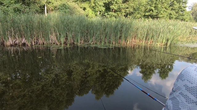 тишина, релакс ловим уклейку смотреть онлайн