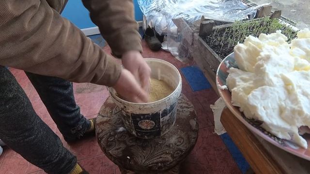 Ускоренный откорм цыплят. ч.2. СЕКРЕТНЫЙ ИНГРЕДИЕНТ смотреть онлайн