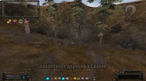 Цветы Калмыку (4 места), ОП 2 2