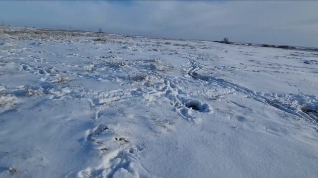 Охота на зайца. 28 калибр смотреть онлайн