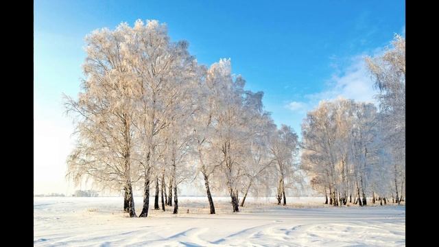 Цветут березы инеем смотреть онлайн