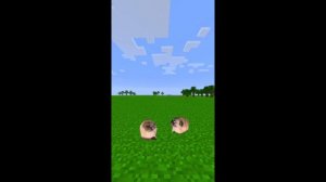 МОПСЫ ТАНЦУЮТ ПОД МУЗЫКУ ИЗ ЗОМБИ ПРОТИВ РАСТЕНИЙ 1 ЧАС