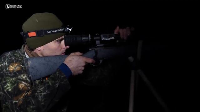 Hunting With MARS 4 смотреть онлайн