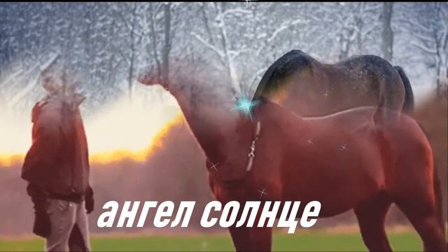 ПРИВИРЕДЛИВЫЕ КОНИ исполняет Соколова смотреть онлайн