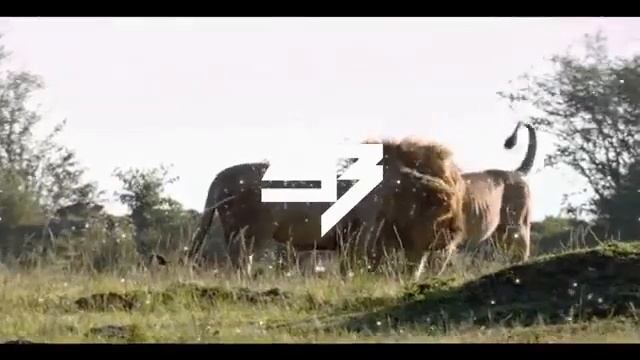 TENCA Лев Lev AB Remix 2019 смотреть онлайн