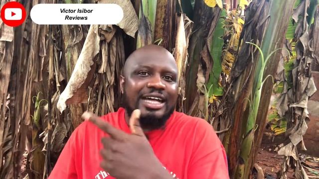 Ponzi Addiction: How to stop losing money to scam Ponzi schemes || Forex and Crypto Investment scam смотреть онлайн