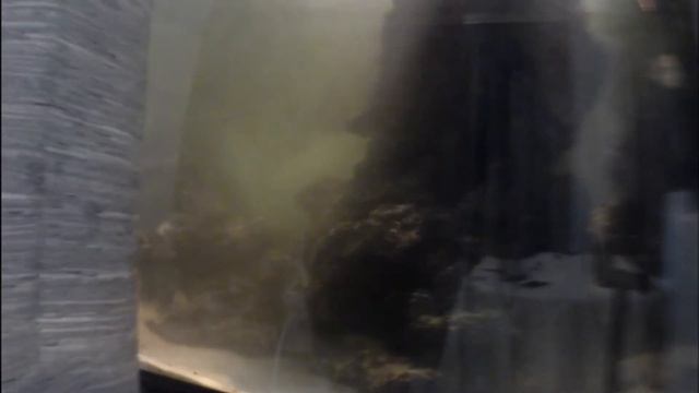 Установка в аквариум тяжёлого декора без отлова рыбы и снятия грунта смотреть онлайн