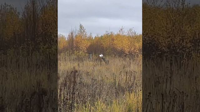 Материал от бойцов с фронта.mp4 смотреть онлайн