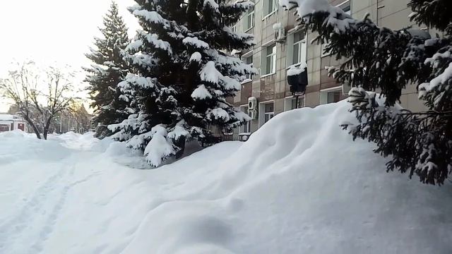 Восточный Казахстан 02 01 2023 г смотреть онлайн