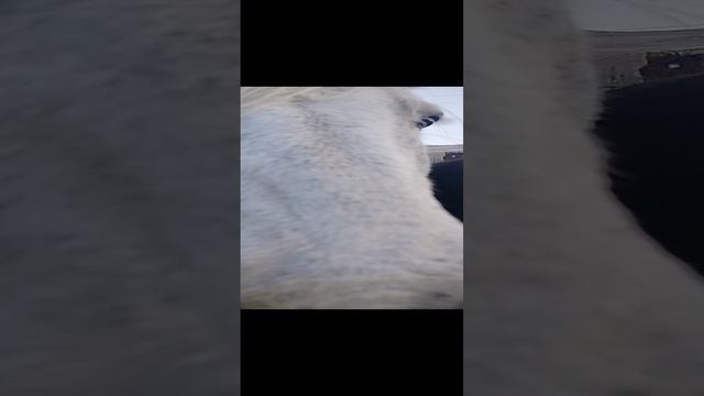 20231219_161241.mp4 смотреть онлайн