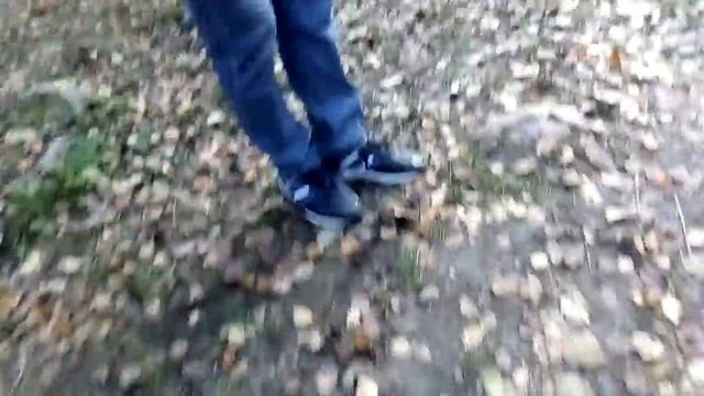 Сказка Тайрон и Царевна Лягушка смотреть онлайн