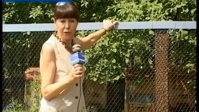 Пчелы смотреть онлайн
