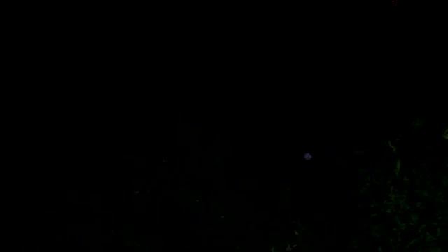 Ночная рыбалка поймали сома и диалоги о рыбалке смотреть онлайн