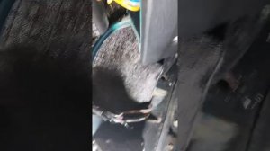 Нива не отключается вентилятор охлаждения  часть 1.