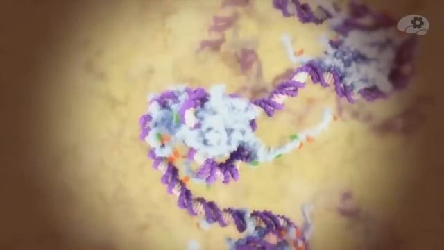 Почему женщины полосатые смотреть онлайн