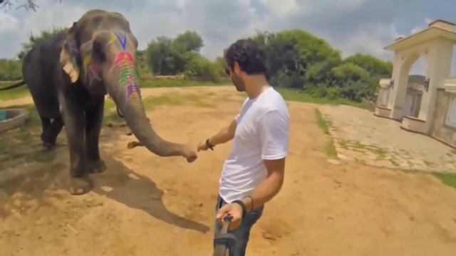 Лучший аксессуар для Вашего смартфона  Монопод для селфи.