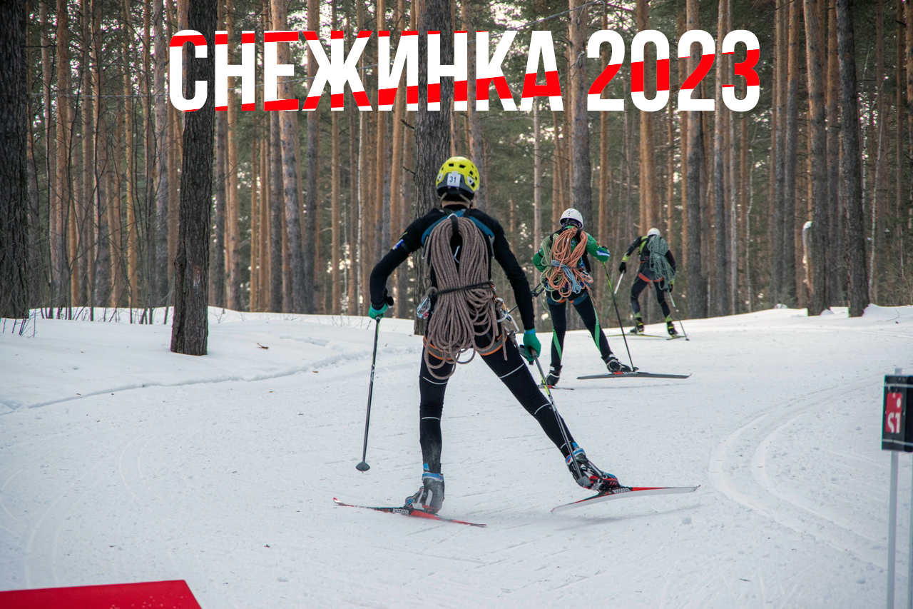 Снежинка 2023