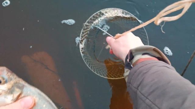 Рыбалка на Вятке, район Истобенска, начало июля 2022 смотреть онлайн