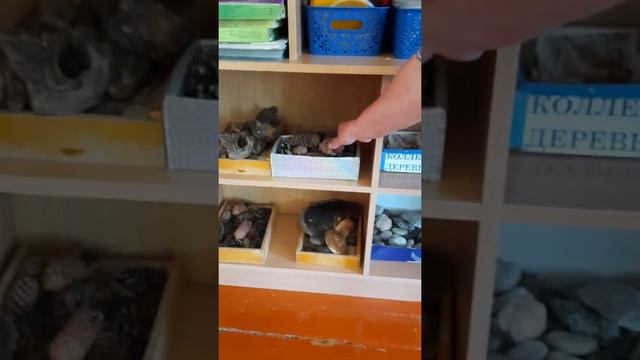 экологический уголок