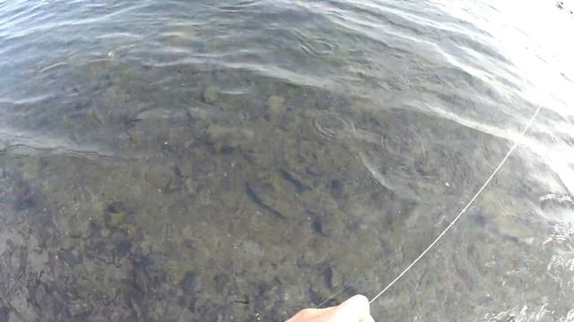 Ловля хариуса на кораблик р.Уса смотреть онлайн