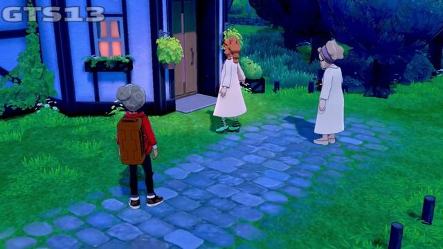 Pokemon Sword And Shield | Post Game Side Story Full Walkthrough смотреть онлайн