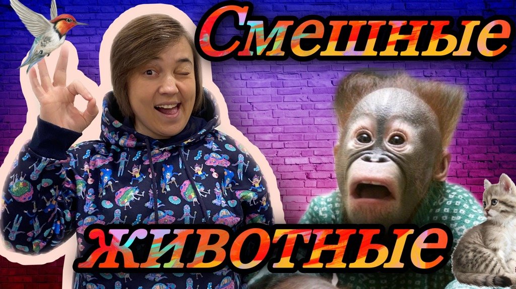 Смешные моменты с животными смотреть онлайн