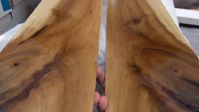 Identify Poplar wood (Liriodendron tulipifera) смотреть онлайн