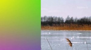 Какой сегодня праздник 9 апреля