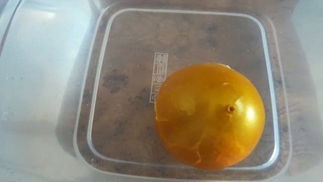 ДИНОЗАВР ИЗ ЯЙЦА, УВЛЕКАТЕЛЬНЫЙ ЭКСПЕРИМЕНТ !!! смотреть онлайн