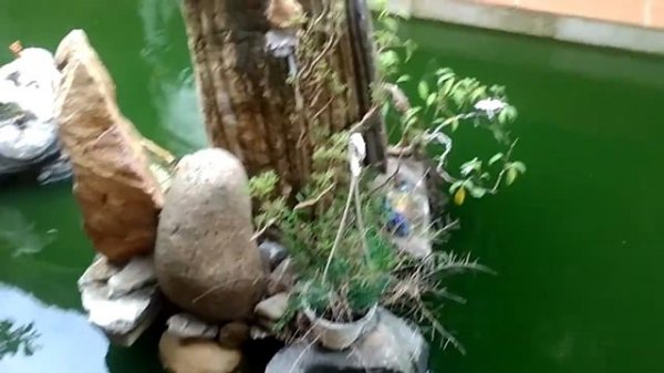 Храм France Temple Temple Bar