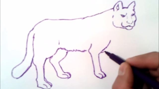 kак нарисовать пуму смотреть онлайн