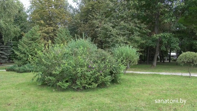 Санаторий им.Ленина - территория, Санатории Беларуси