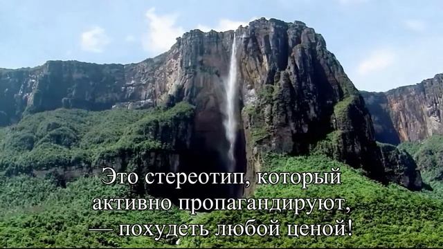 Изучаем культуру здорового образа жизни — Статья смотреть онлайн