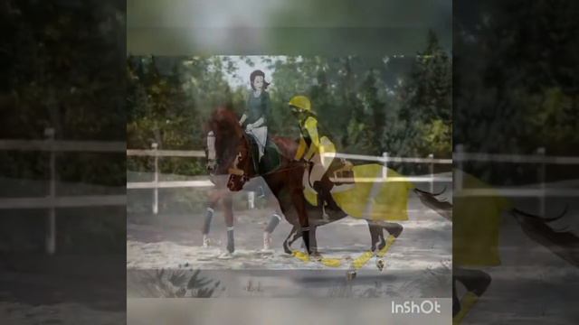 Клип про лошадей. смотреть онлайн