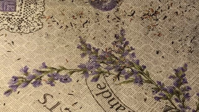 Quasi quasi ci sono riuscita ?????? смотреть онлайн