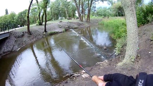 А в центе рыба тоже есть. смотреть онлайн