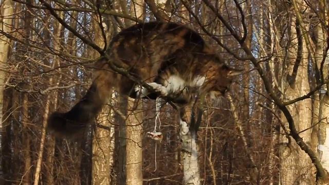 Послал мне бог кусочек сала :)) смотреть онлайн